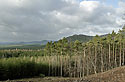 Panorama z pat Bezdzu - hlavn odkaz