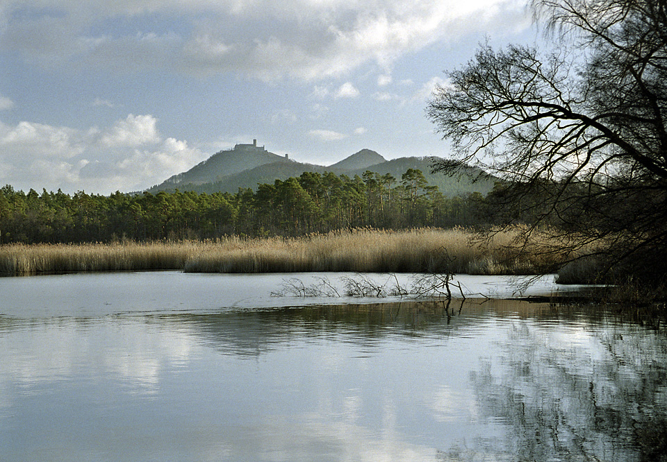 At the "Behyn" lake - larger format
