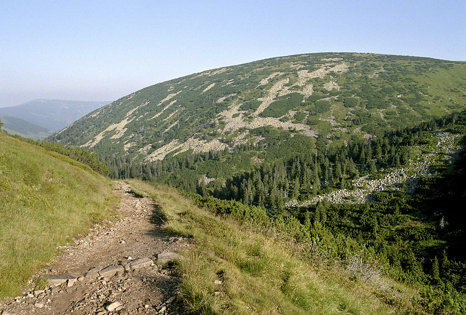 ertovo nvr - vt formt