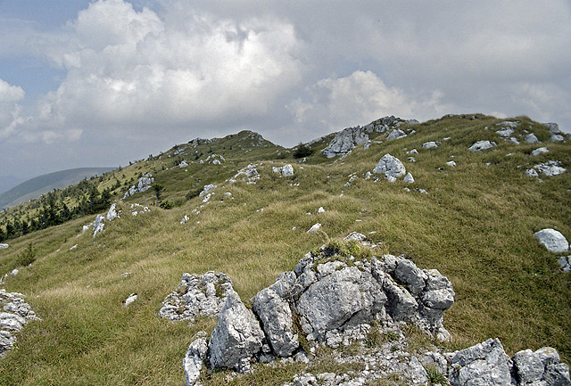 On the "Dry Hill" - smaller format