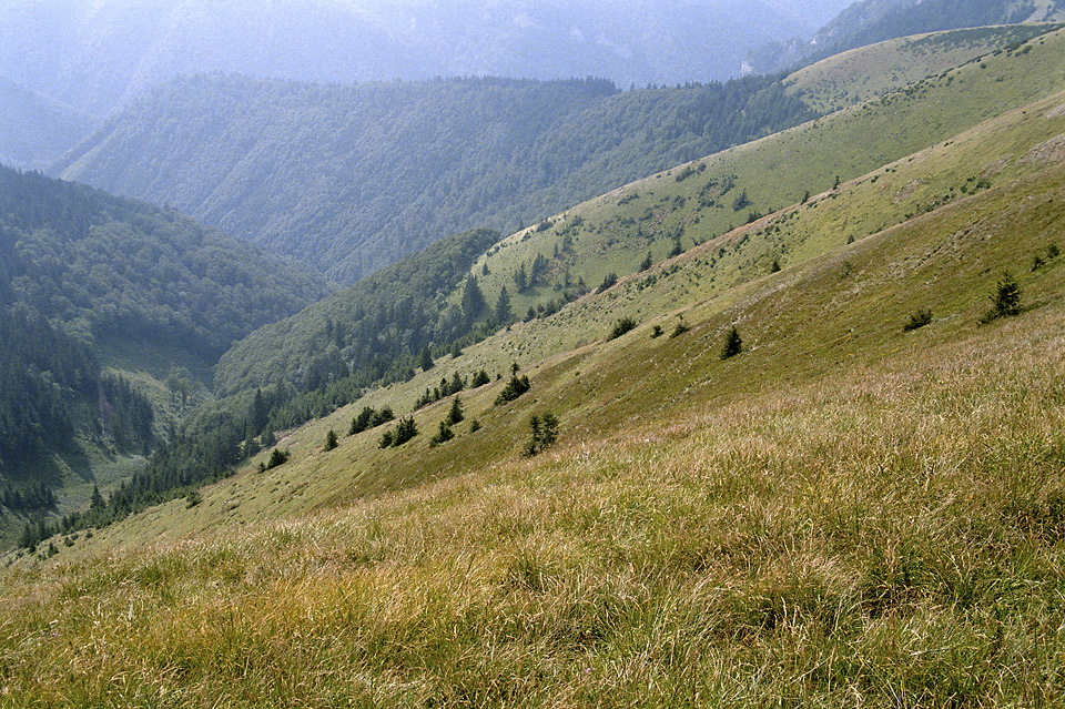 Precipices of "Ostredok" - larger format