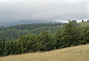 Cloudy "Dry Hill" - main link