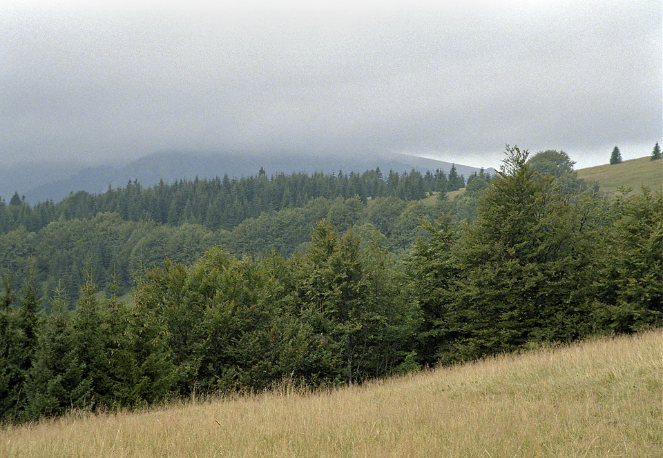 Cloudy "Dry Hill" - larger format