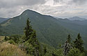 "Guy Hill" - main link