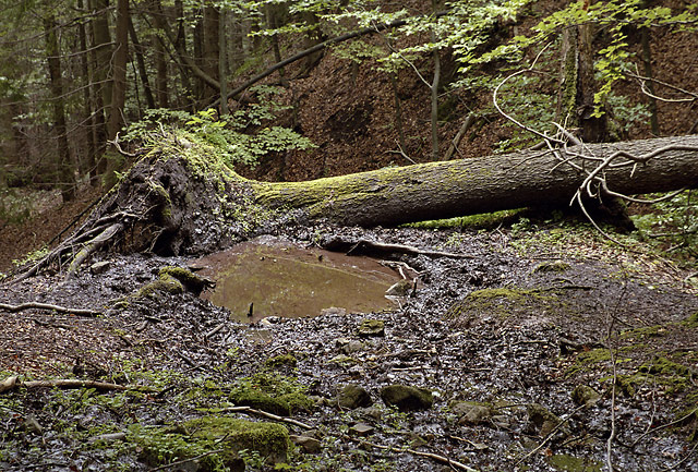 Mud - smaller format