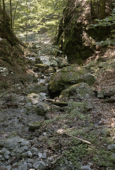 Seepage - smaller format