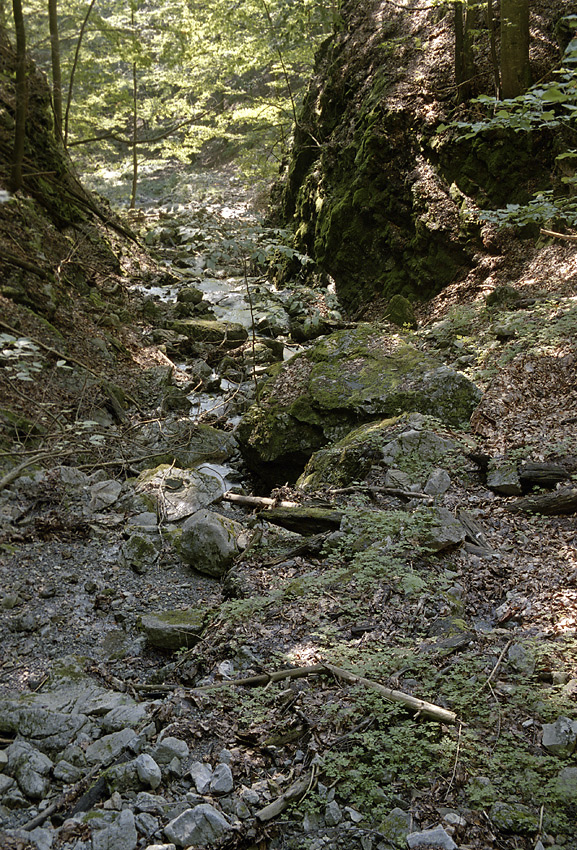 Seepage - larger format