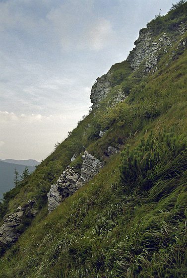 Skaliny na Boriovu - men formt