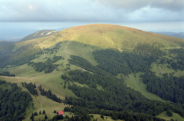 "Flat Hill" - smaller format
