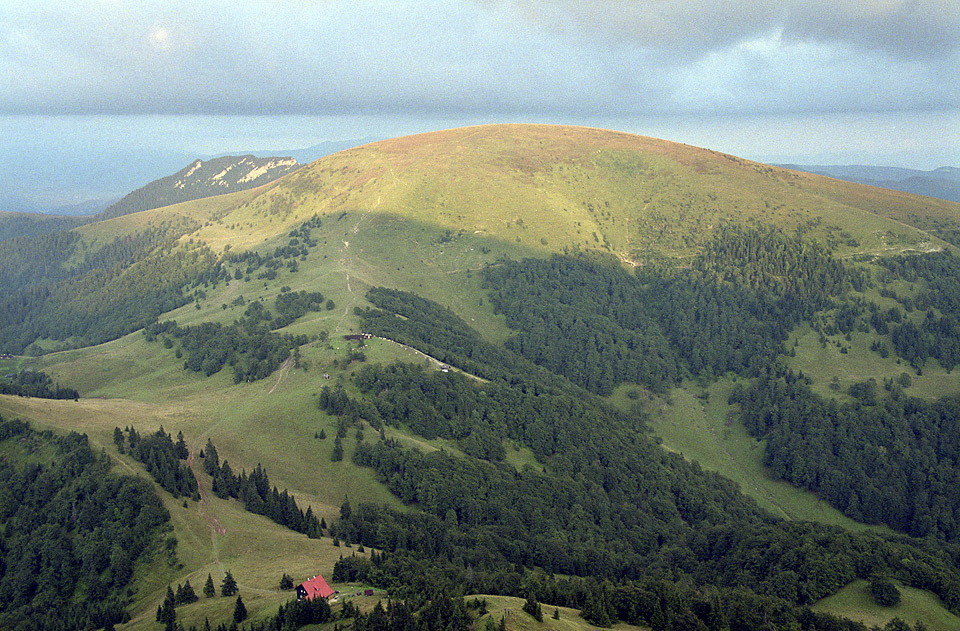 "Flat Hill" - larger format