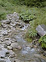Creek - main link