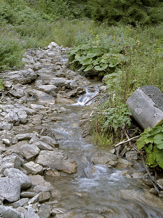 Creek - larger format