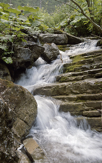 Creek - smaller format