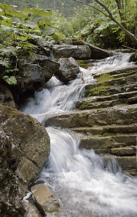 Creek - larger format