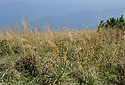 On "Rakytov" - main link