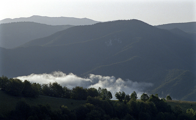 Morning vapour - smaller format