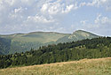 "Ostredok" and "Dry Hill" - main link