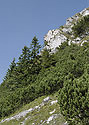 On the "Black Stone" - main link