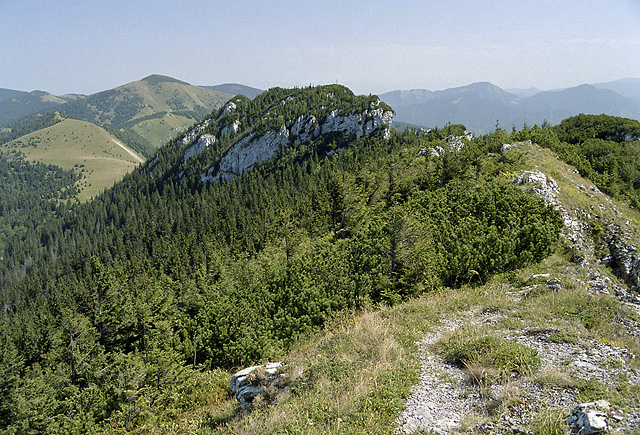 On the "Black Stone" - smaller format