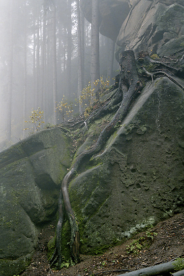 In the "Sand Gorge" - smaller format