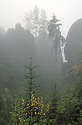 In the "Sand Gorge" - main link