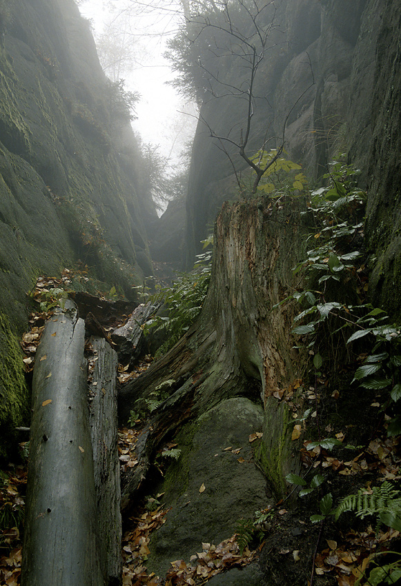 In the "Sand Gorge" - larger format