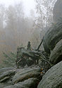 In the "Sand Gorge" - main link