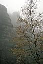 In the "Sand Gorge" - main link
