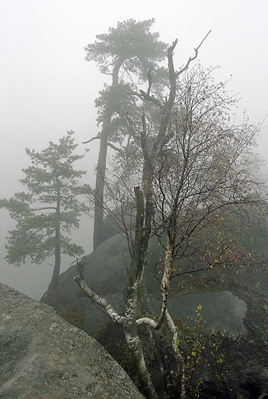 Over the "Sand Gorge" - smaller format