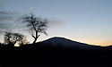 "Vlho" - main link