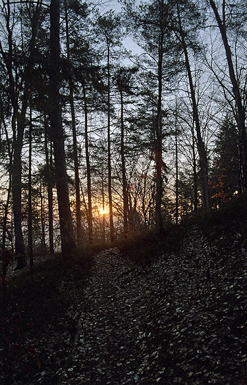 Dawn - smaller format