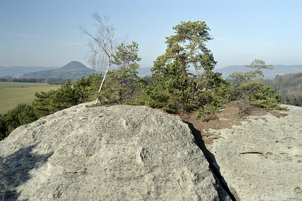 On the "Silver Hill" - larger format