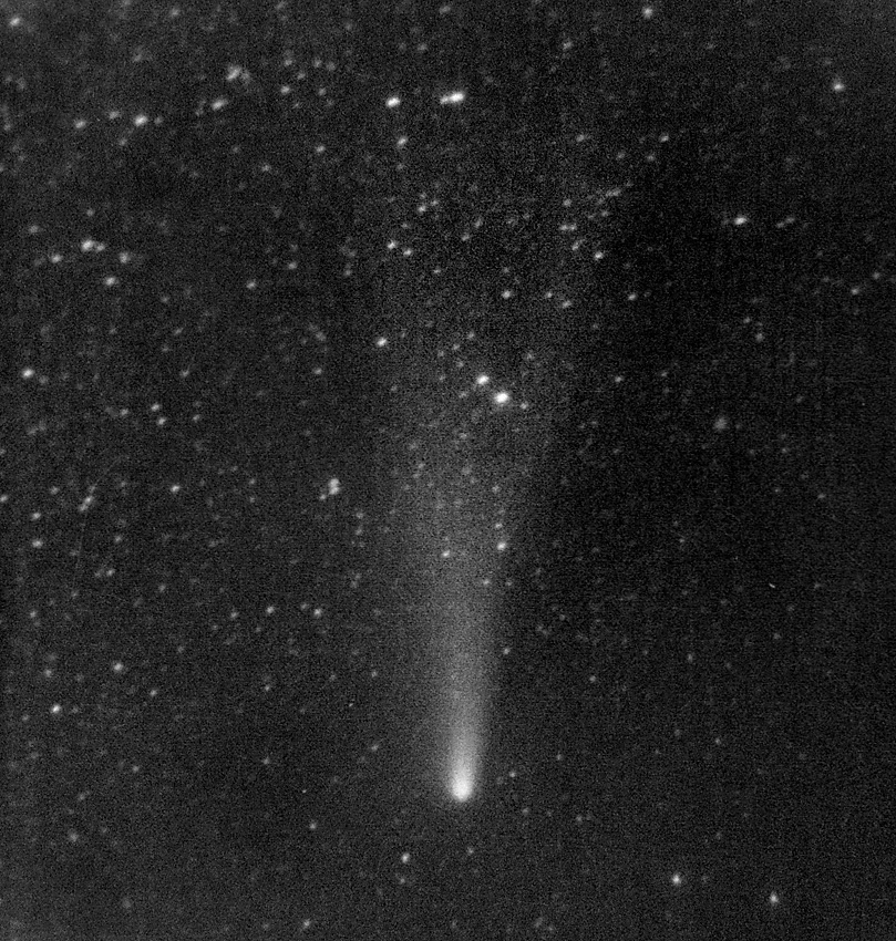 The comet Halley - larger format