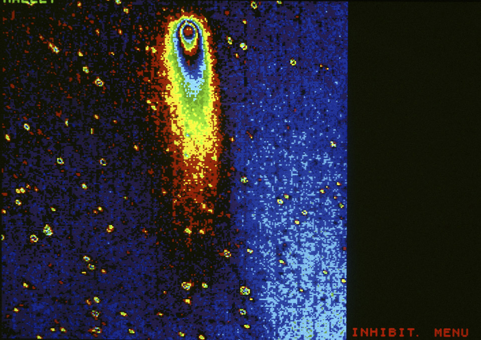 The comet Halley - larger format