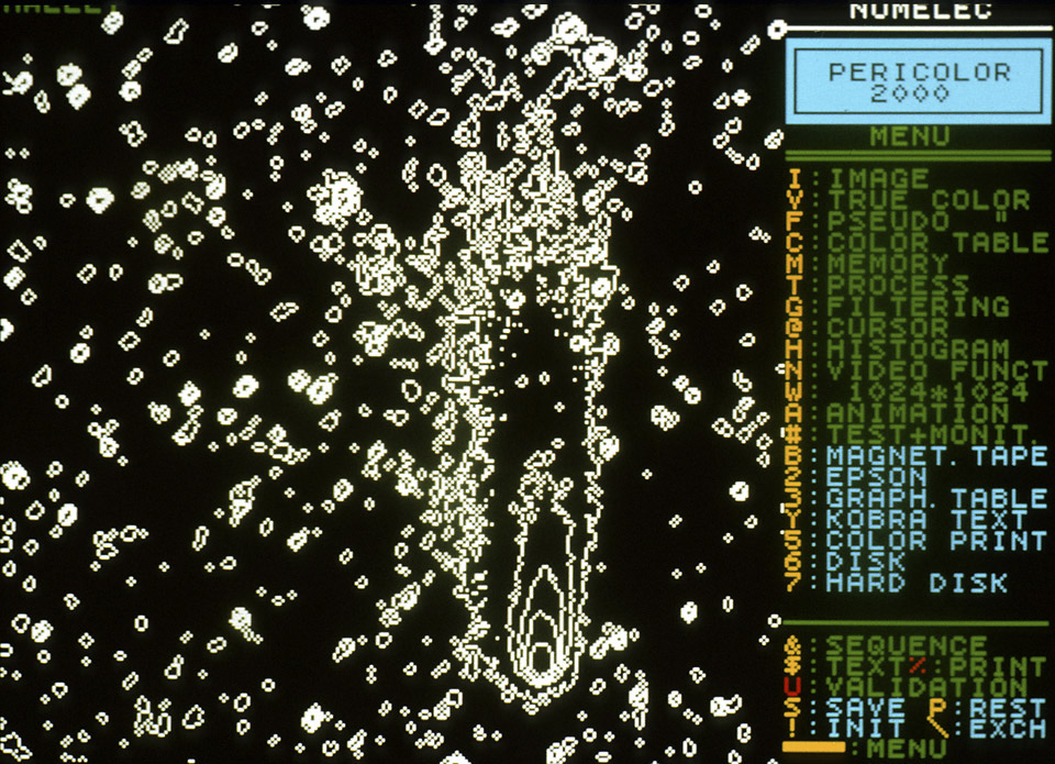 The comet Halley - larger format