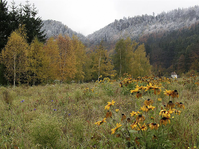 Near "Martnkovice" - smaller format