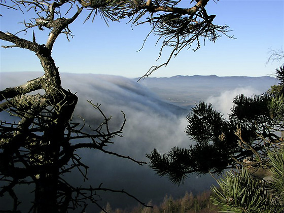Inversion - smaller format
