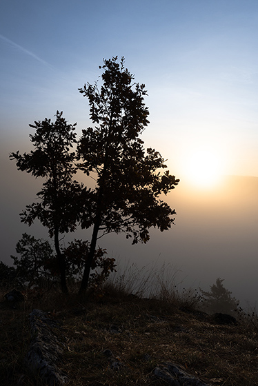 Pastel morning - smaller format