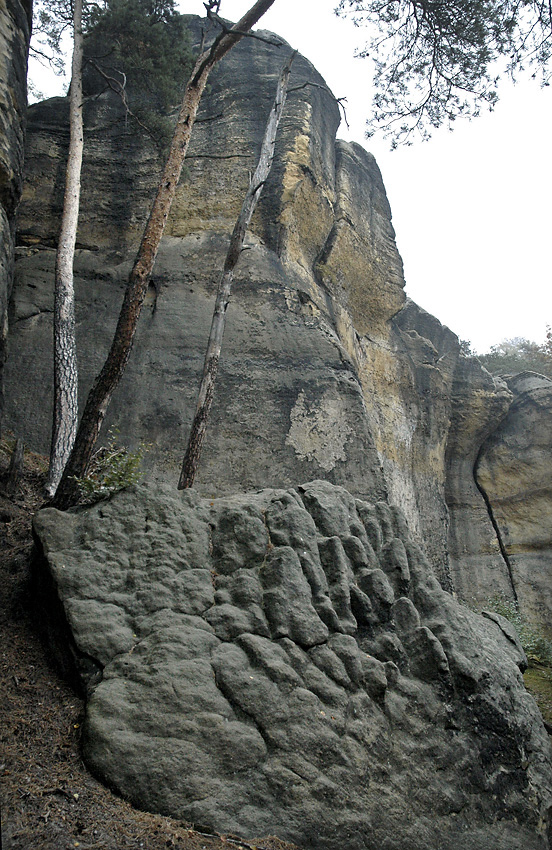 Stny Vlhot - vt formt