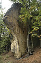 On "Vlho" - main link