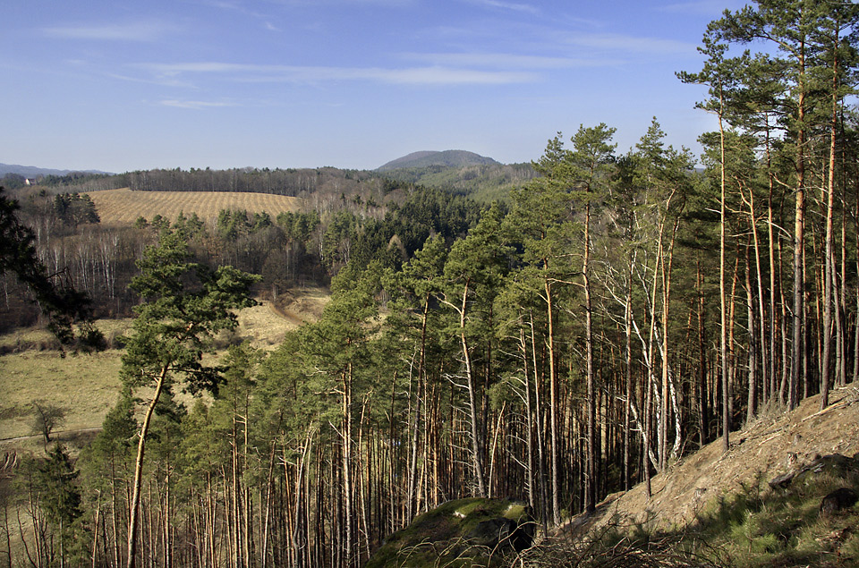 View to north-west - larger format