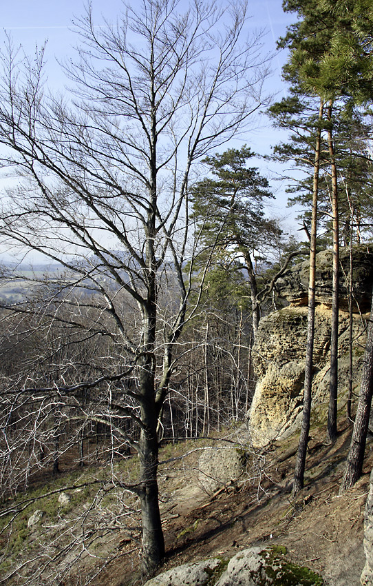 Near the castle - larger format