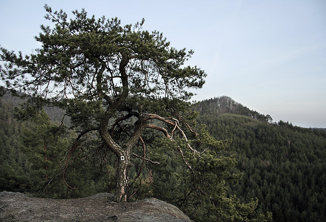On the "Petrified Castle" - smaller format