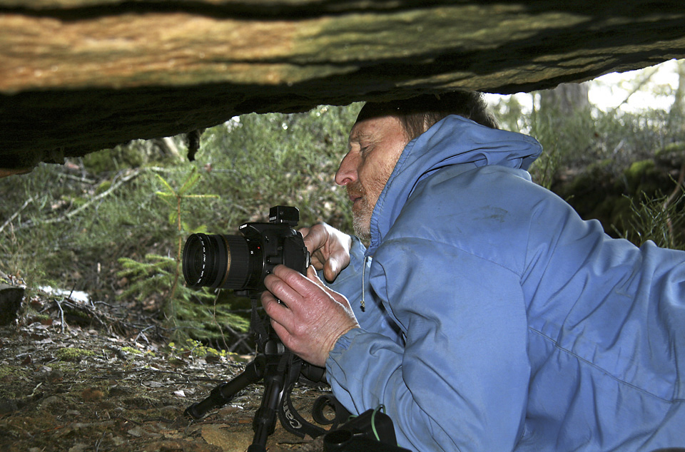 Root stalagmites documentation - larger format