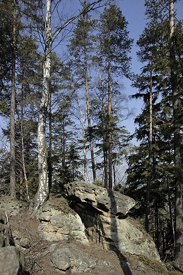 Na skalch - men formt