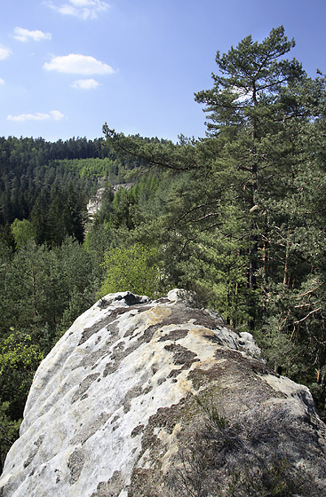 Na Skalnm divadle - men formt