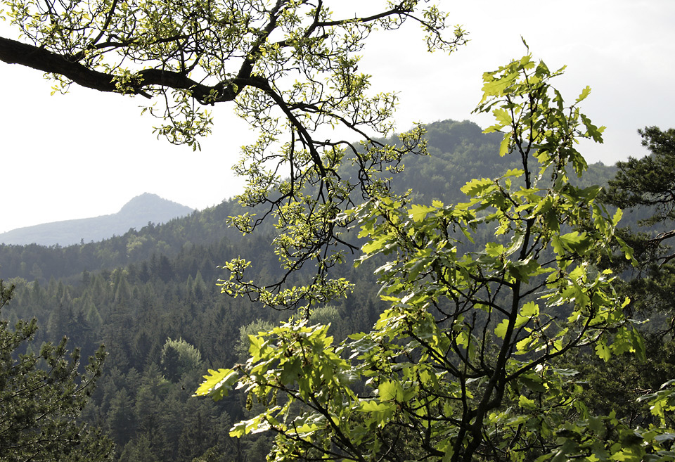 View to the "Deer Hill" and "Ralsko" - larger format