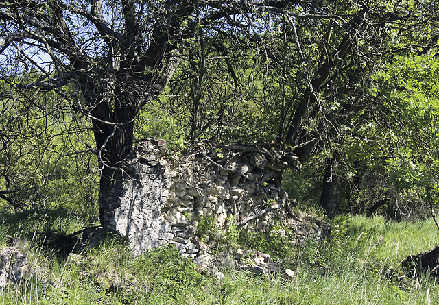 In "Novina" - smaller format