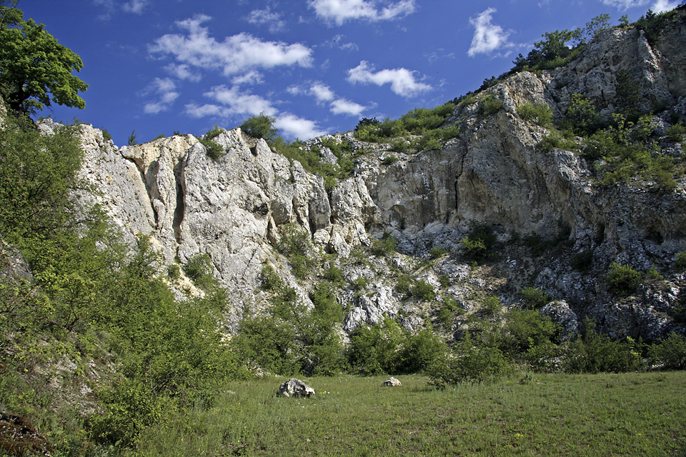 In the old quarry - larger format