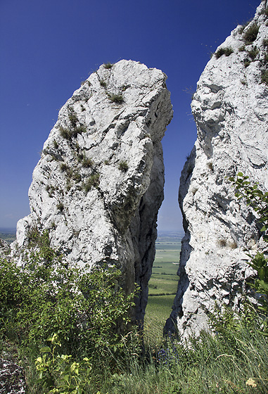 Ve skalch - men formt